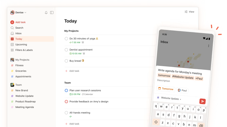 Todoist task management interface