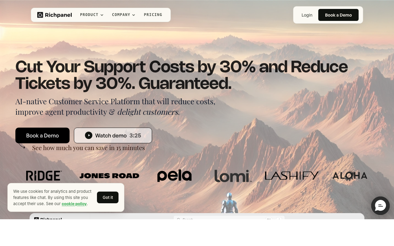 Richpanel AI-native customer service homepage