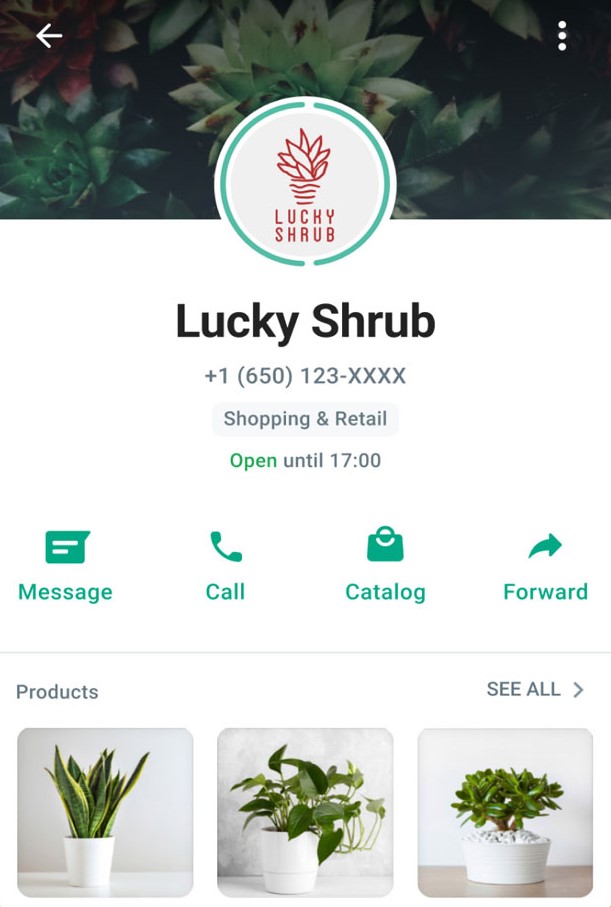 whatsapp for multiple users showcase